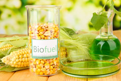 Berrick Salome biofuel availability