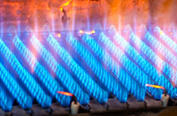 Berrick Salome gas fired boilers